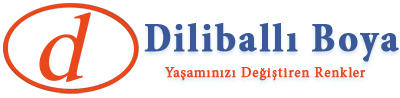 diliballı boya logo